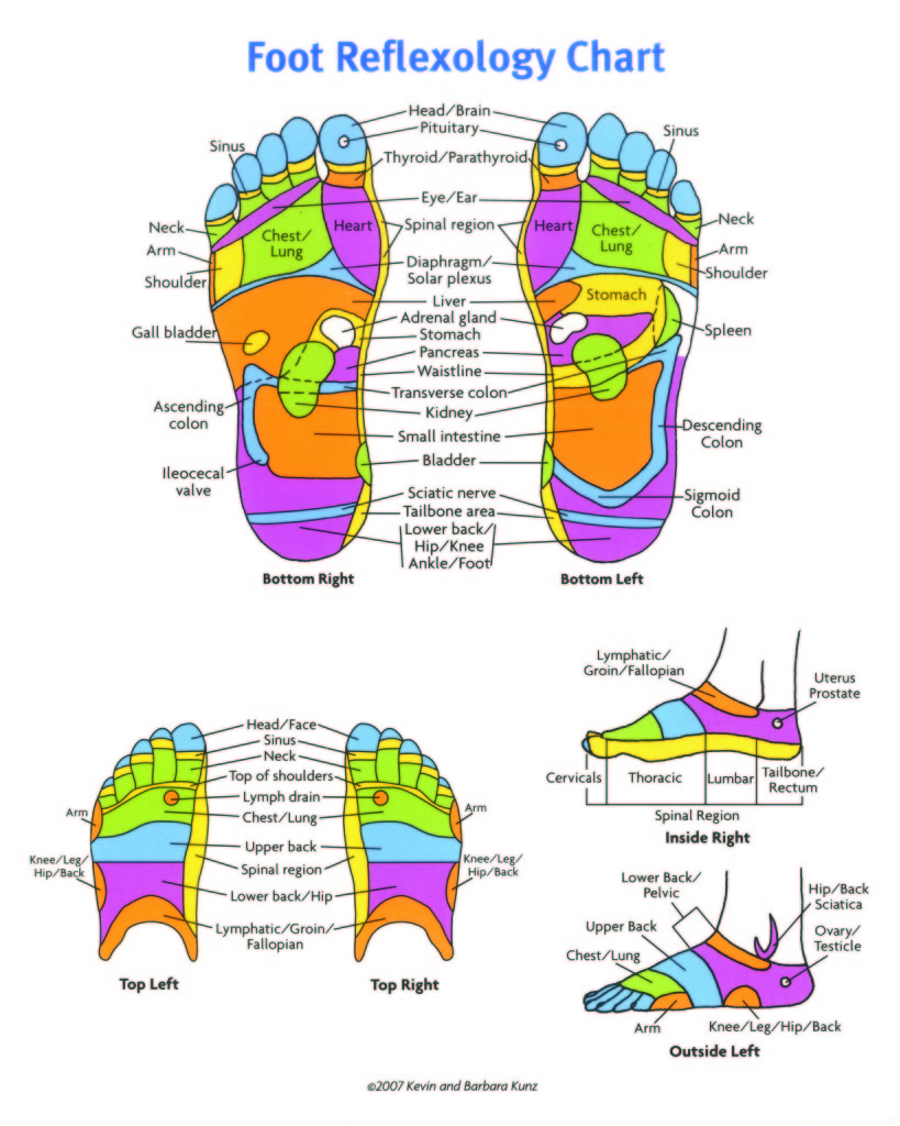 reflexology2