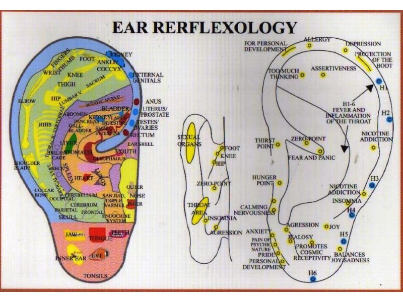 reflexology4